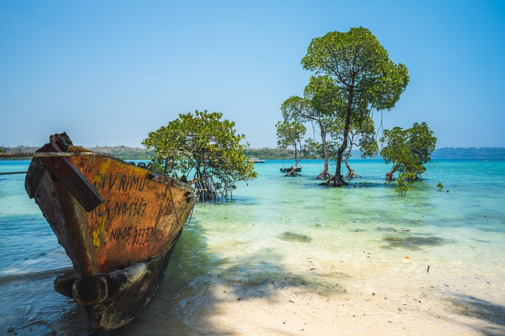 Andaman Tours