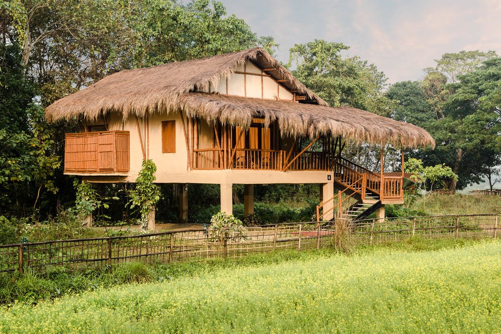 Diphlu River Lodge 2