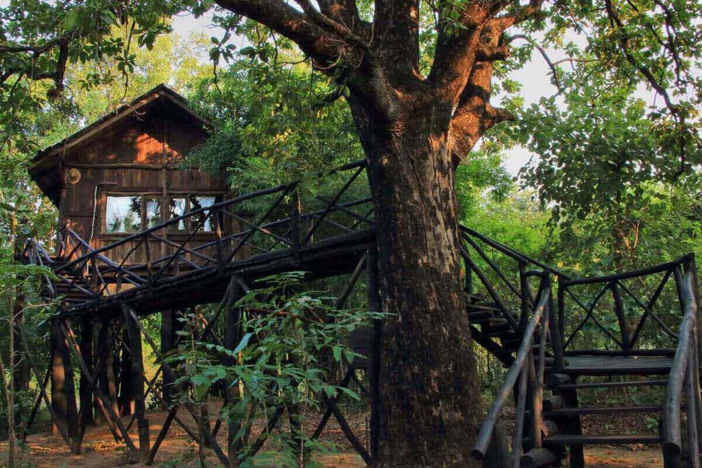 With just 5 Treehouses the lodge offers exclusivity for its discerning guests