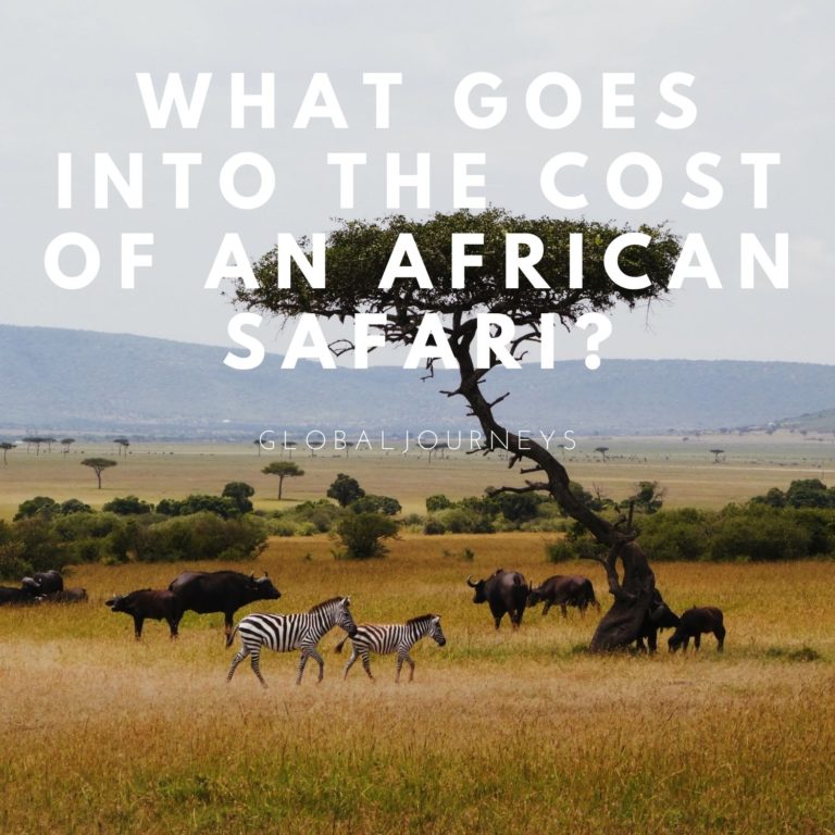 how-much-does-an-african-safari-cost-a-complete-analysis-globaljourneys