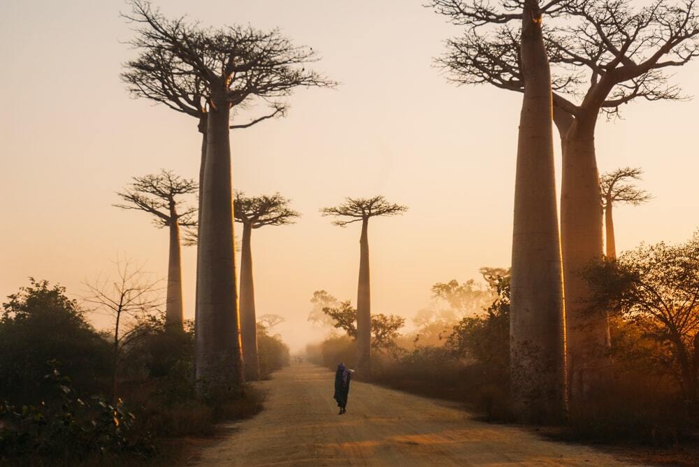 Experiences of Madagascar